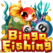Câu Cá Bingo dxg